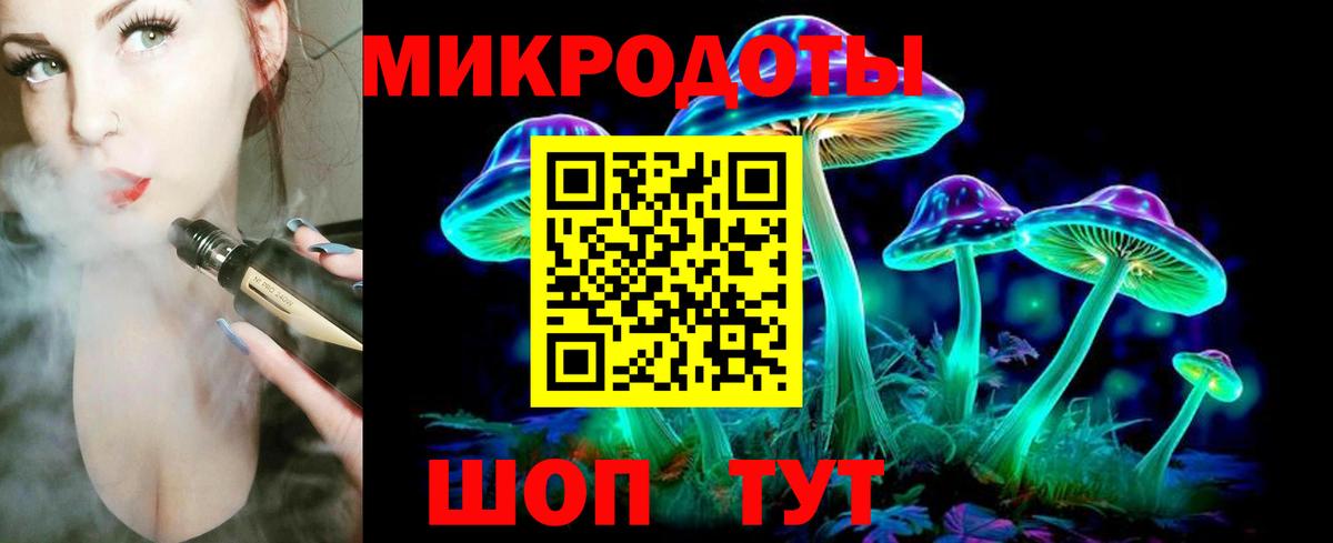 Галлюциногенные грибы Psilocybe Ревда